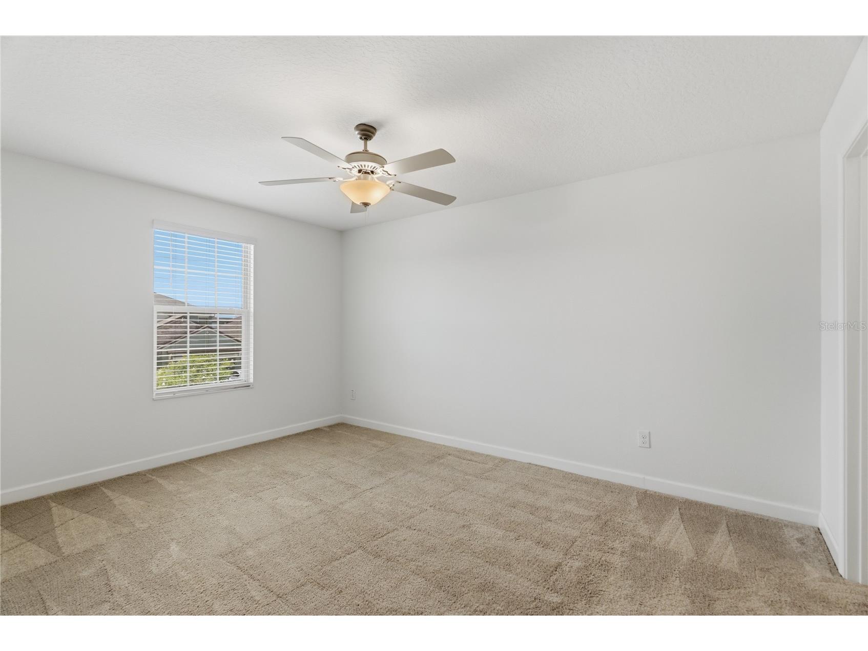 9157 Shadyside Lane Land O Lakes FL 34637 TB8501880 image41
