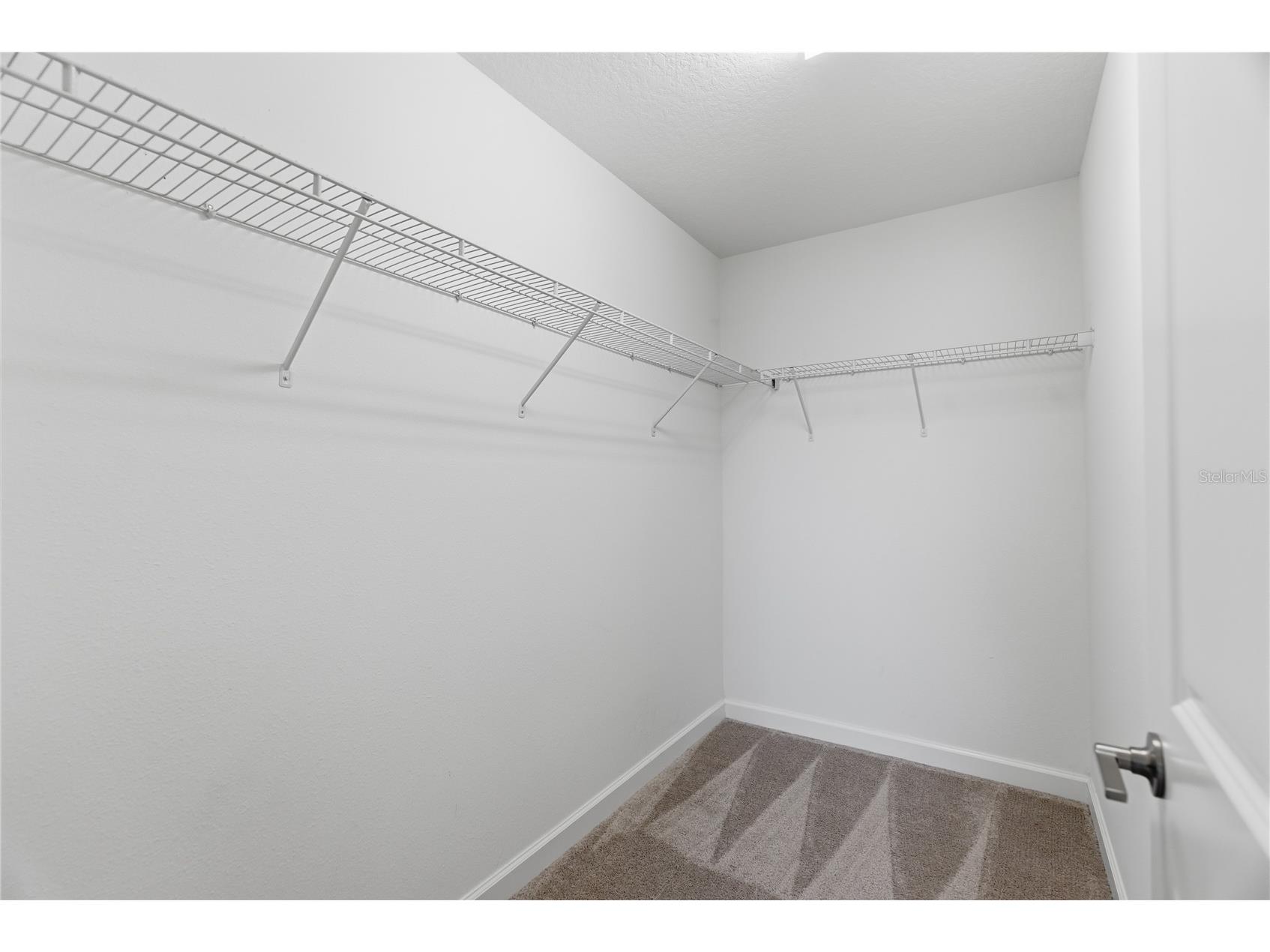9157 Shadyside Lane Land O Lakes FL 34637 TB8501880 image43