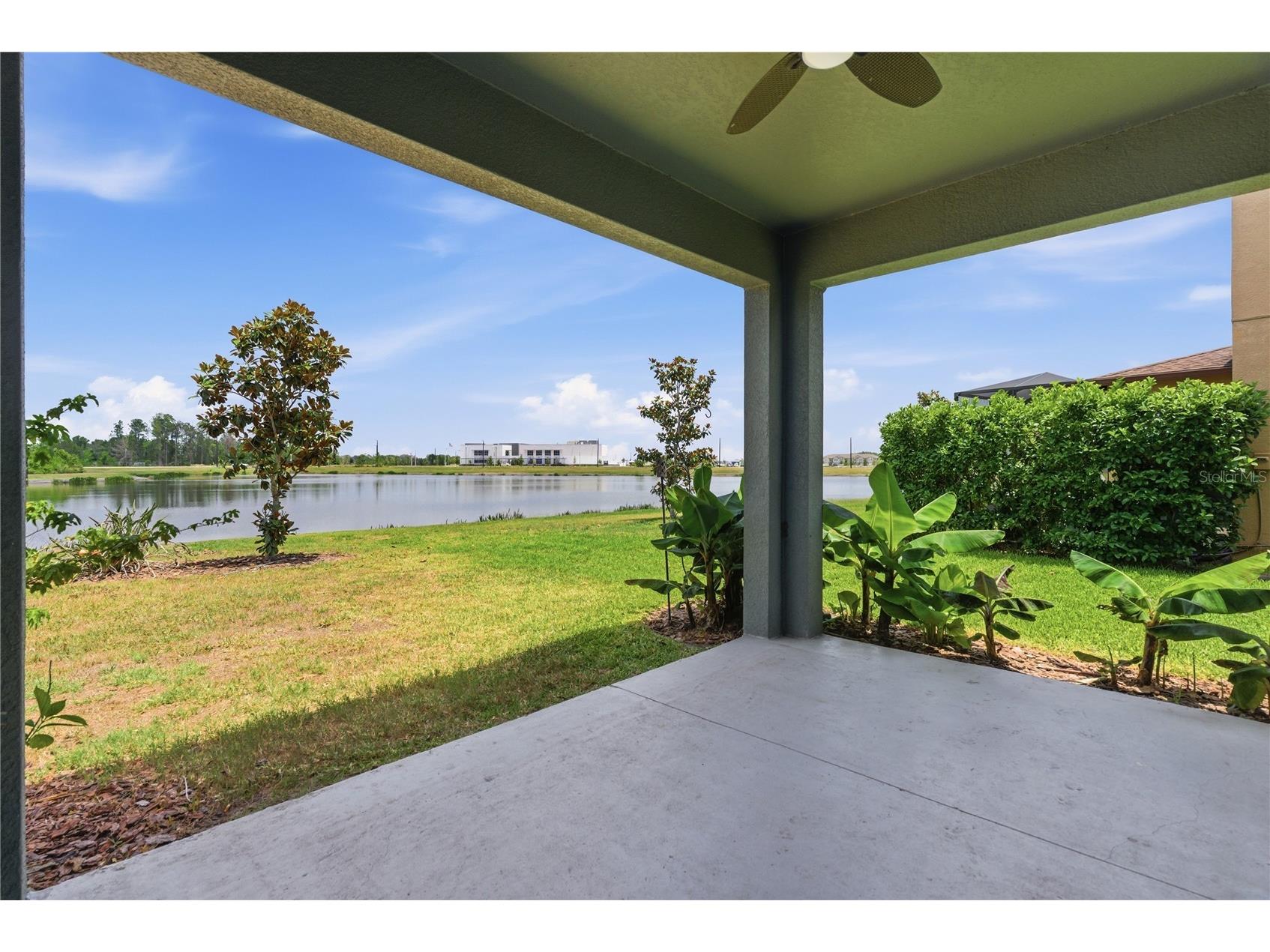 9157 Shadyside Lane Land O Lakes FL 34637 TB8501880 image45