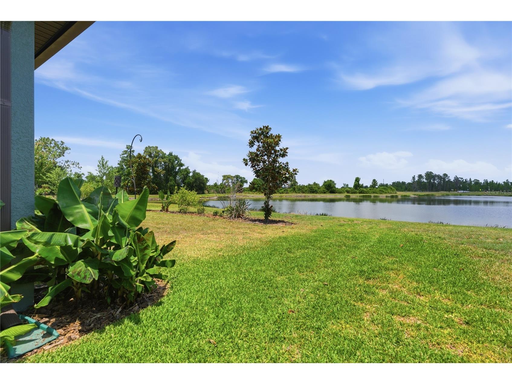9157 Shadyside Lane Land O Lakes FL 34637 TB8501880 image46