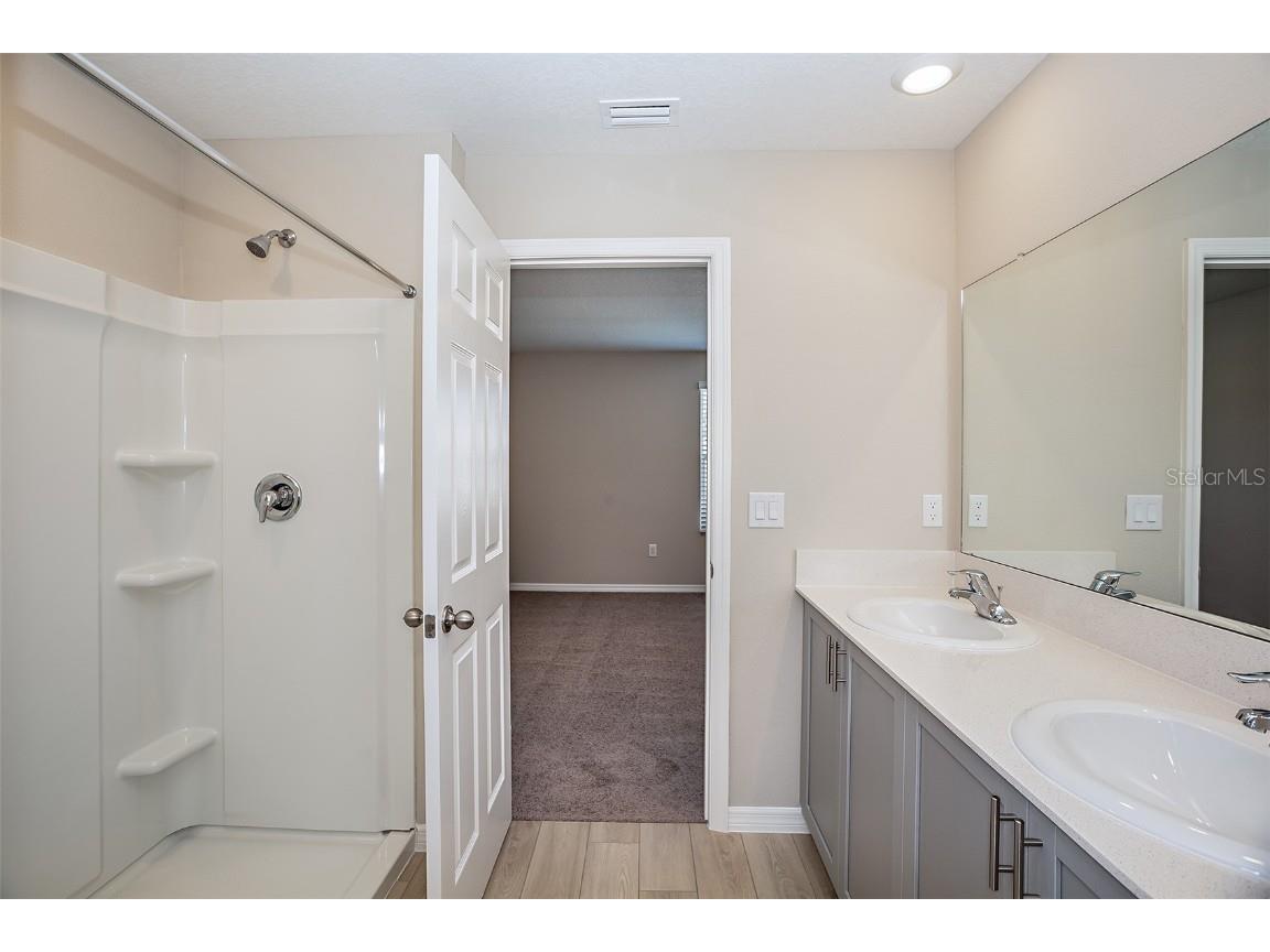 9158 Belleview Forest Pass Zephyrhills FL 33541 TB8453872 image21