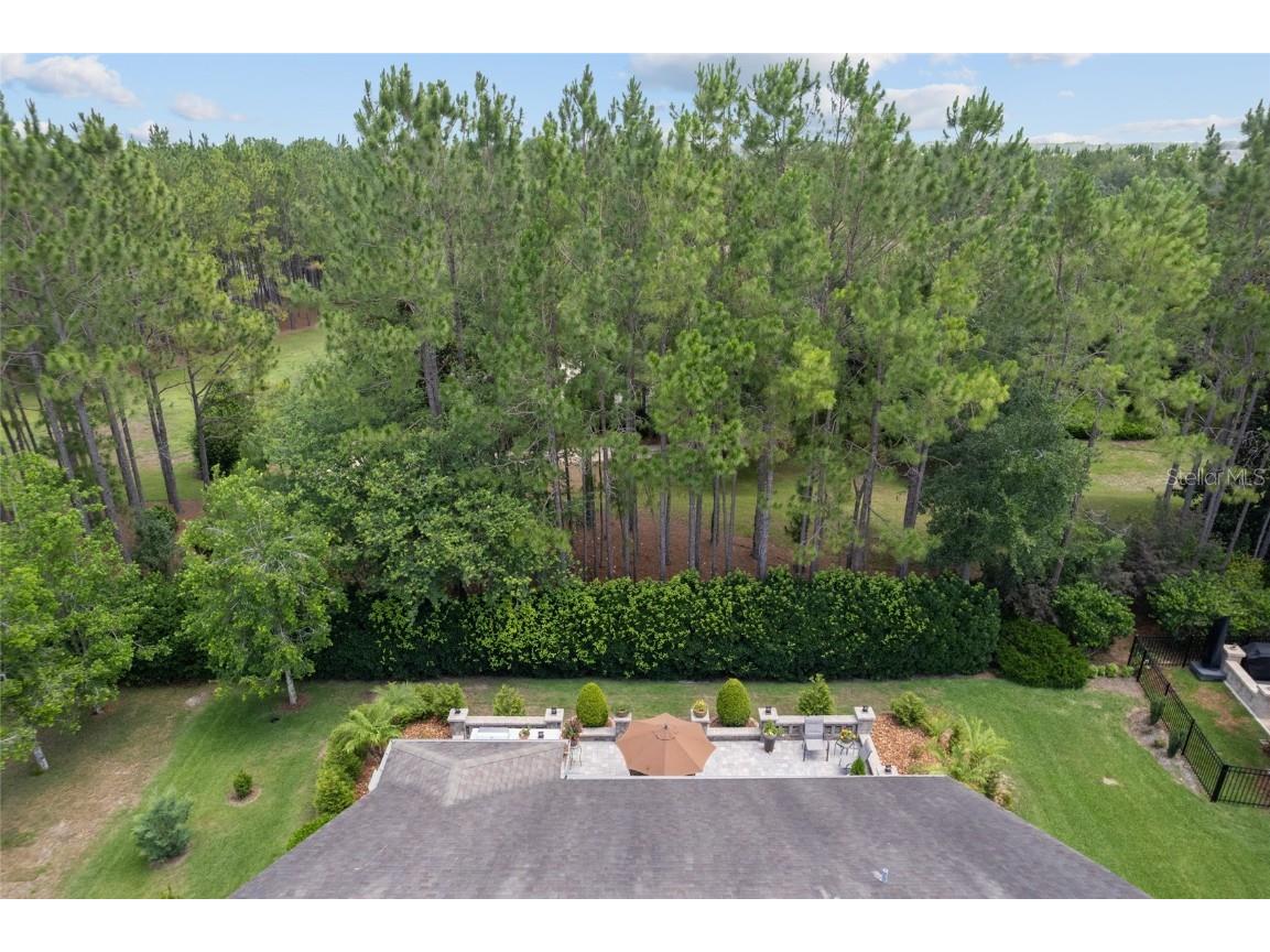 9158 SW 65th Loop Ocala FL 34481 OM703370 image68