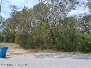 9159 Liberator Court Spring Hill FL 34608 W7886040 image1