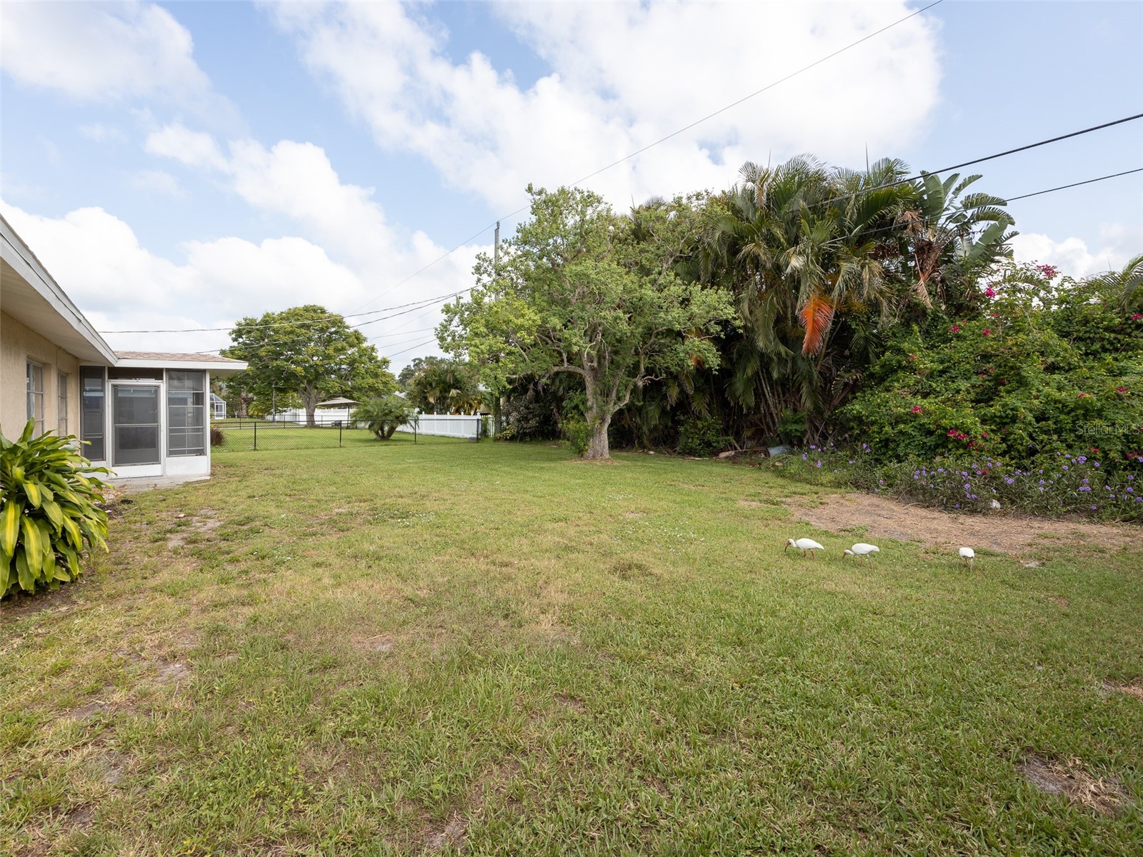 916 Gillespie Street Englewood FL 34223 TB8504860 image20