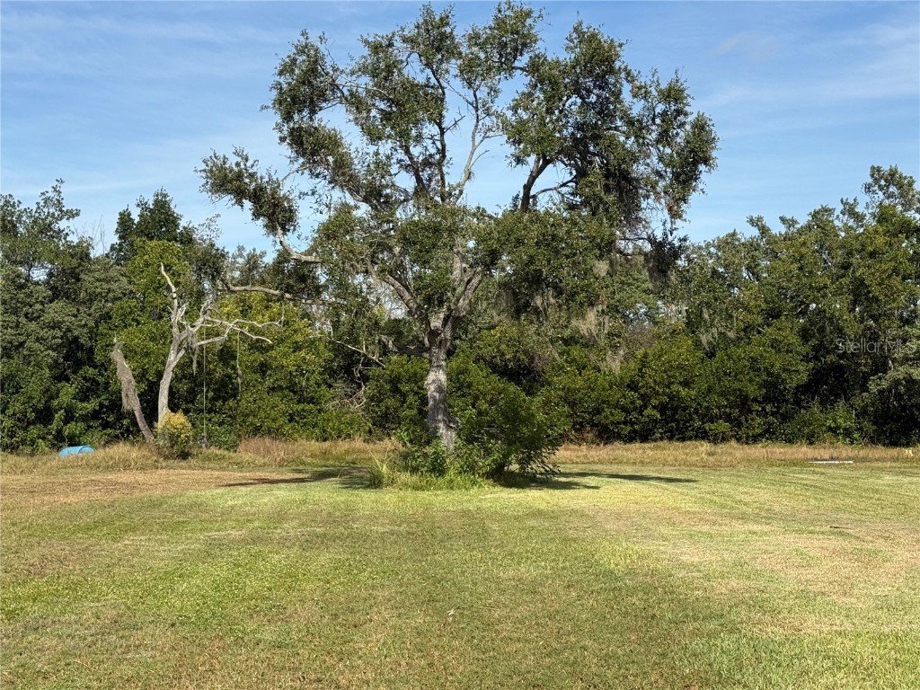 916 Piney Point Road Palmetto FL 34221 A4671400 image5