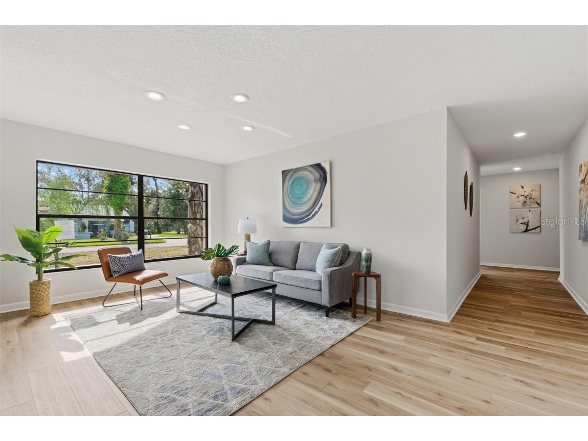 916 River Rapids Avenue Brandon FL 33511 W7881357 image10