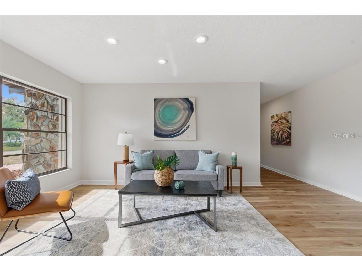 916 River Rapids Avenue Brandon FL 33511 W7881357 image12