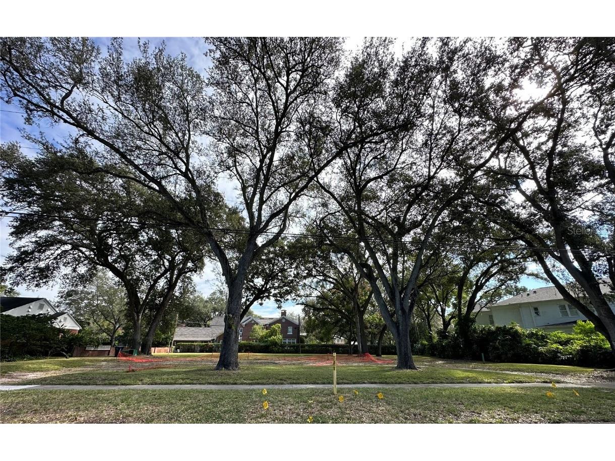 916 S Himes Avenue Tampa FL 33629 J968277 image1