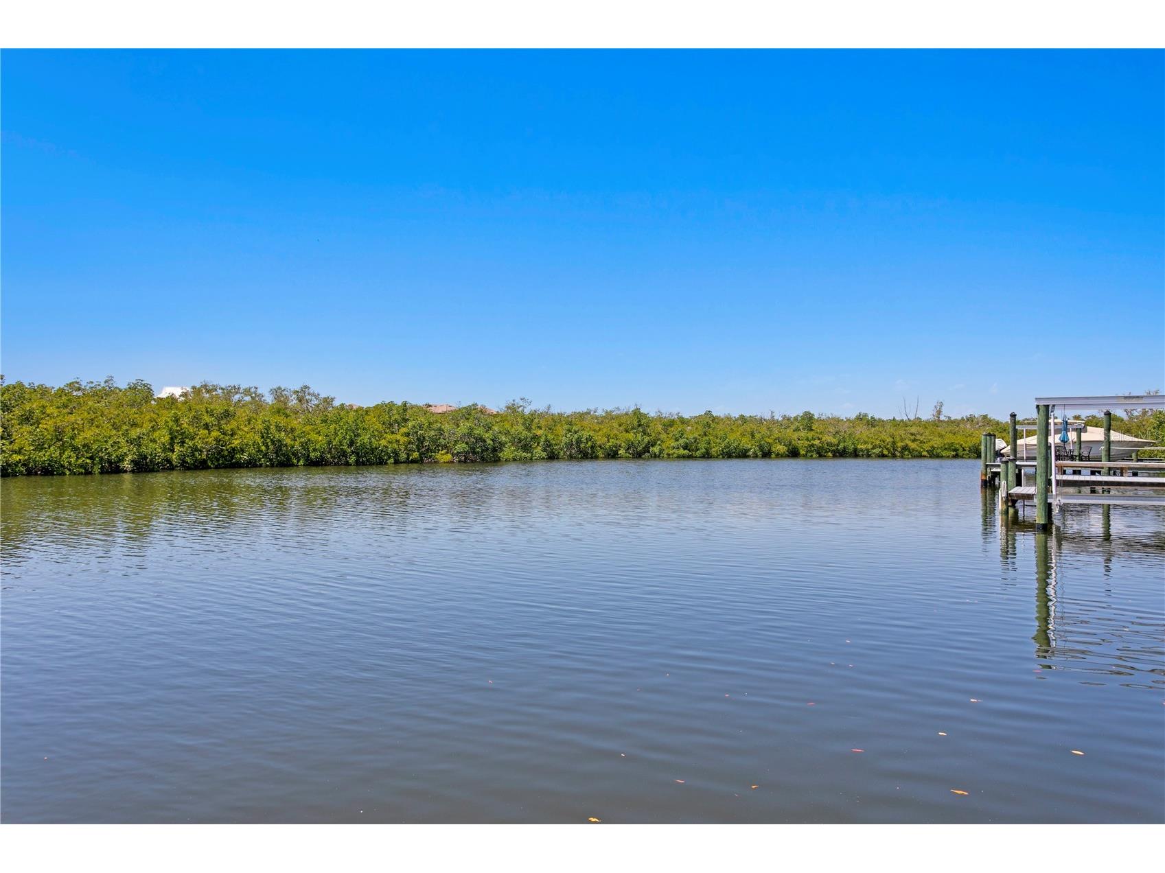 916 Seagrape Drive Ruskin FL 33570 TB8488564 image54