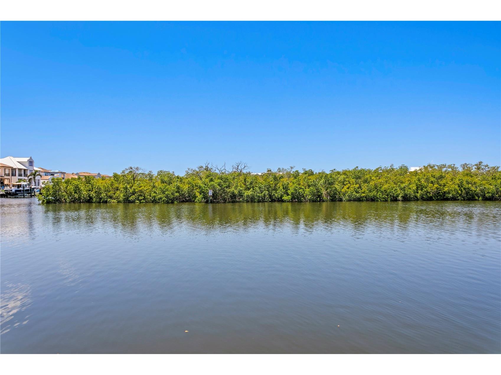 916 Seagrape Drive Ruskin FL 33570 TB8488564 image55