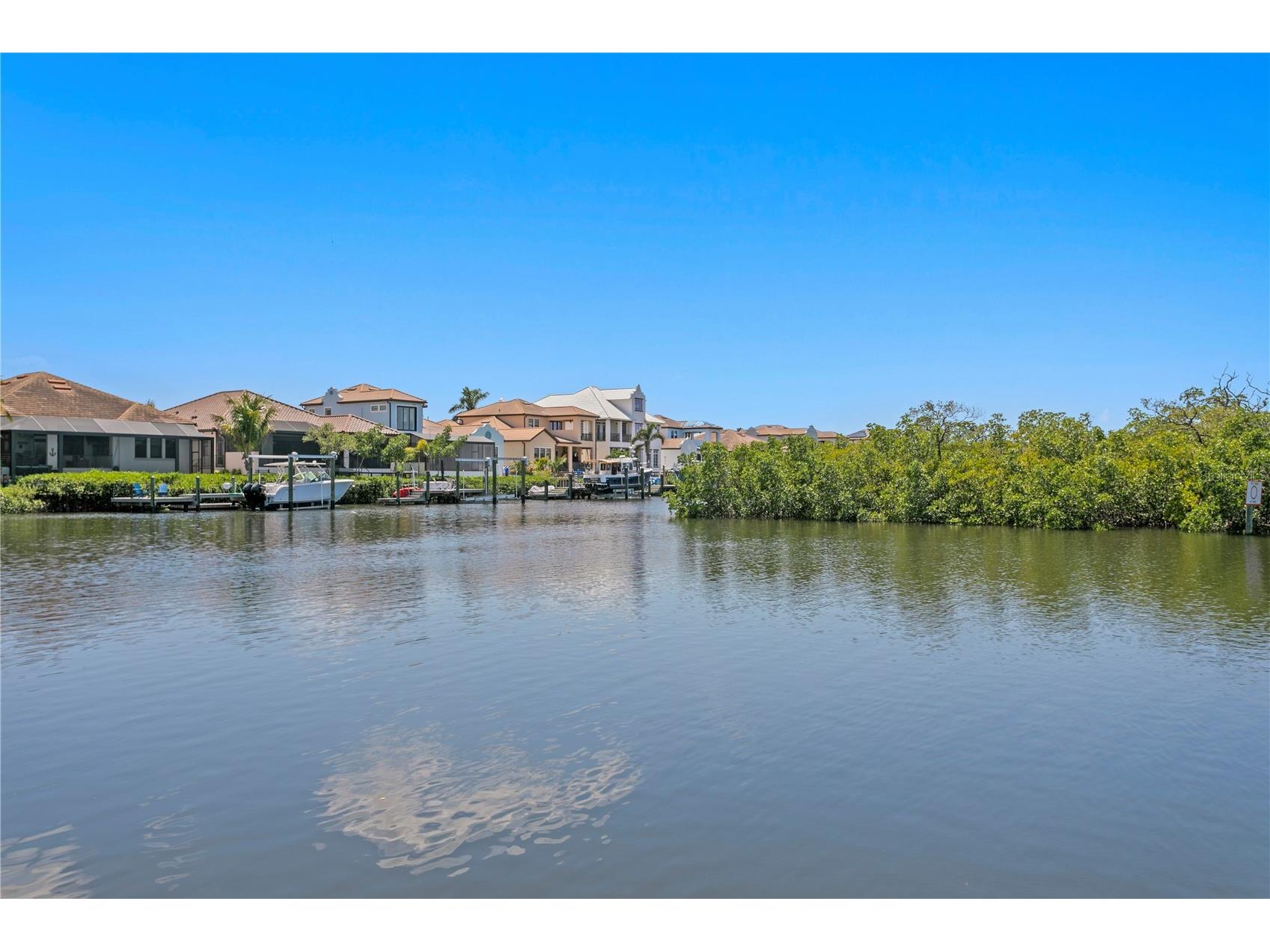 916 Seagrape Drive Ruskin FL 33570 TB8488564 image56