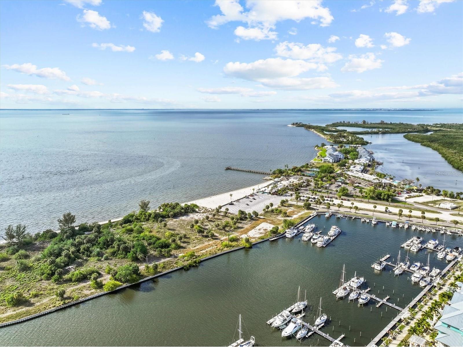 916 Seagrape Drive Ruskin FL 33570 TB8496723 image48