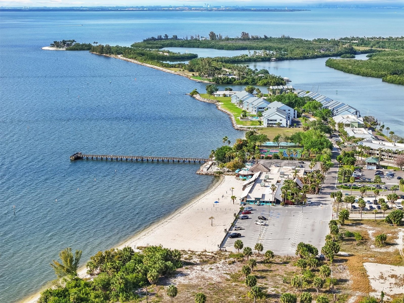 916 Seagrape Drive Ruskin FL 33570 TB8496723 image53