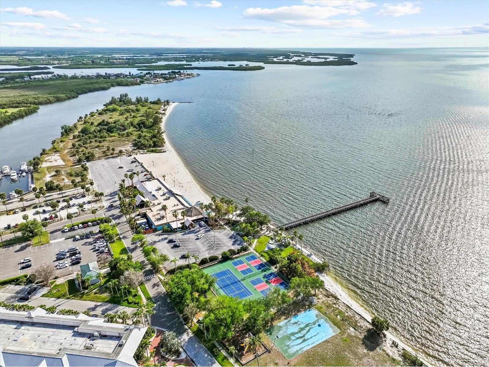 916 Seagrape Drive Ruskin FL 33570 TB8496723 image57