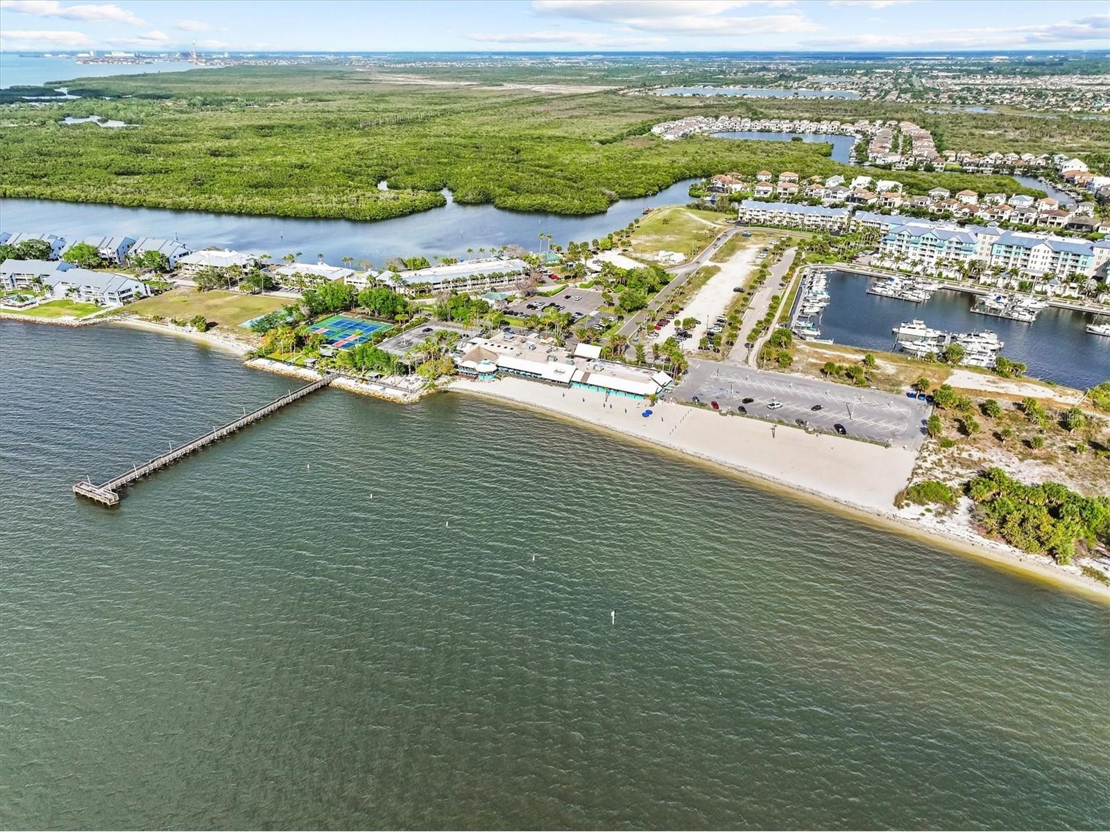 916 Seagrape Drive Ruskin FL 33570 TB8496723 image58