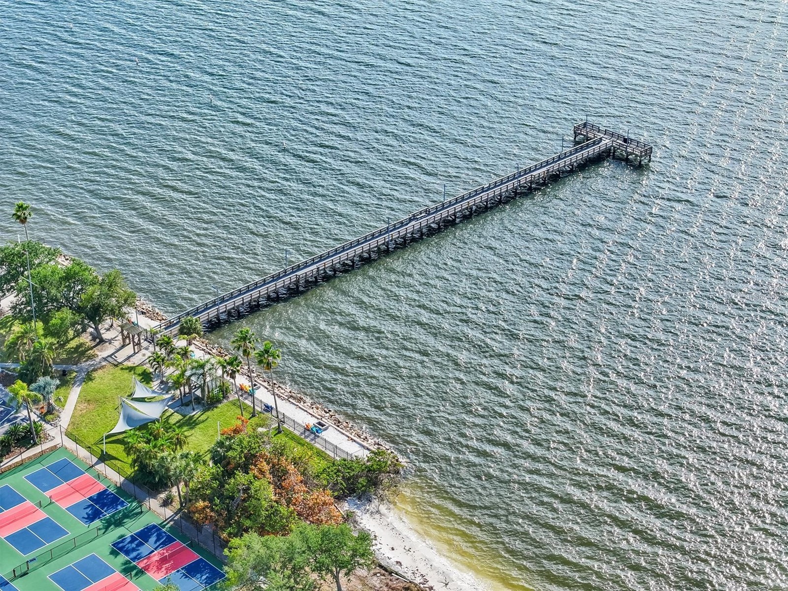 916 Seagrape Drive Ruskin FL 33570 TB8496723 image59