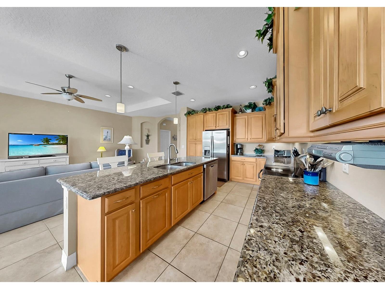 916 Spindle Palm Way Apollo Beach FL 33572 TB8474317 image15