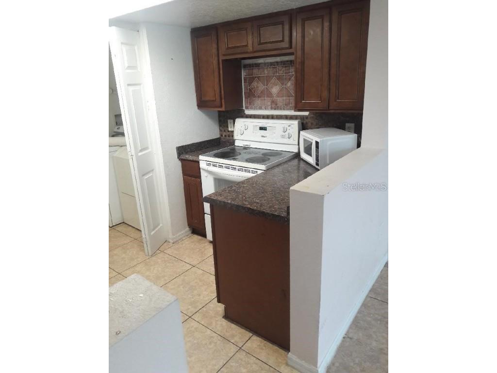 916 Washington Palm Loop Davenport FL 33897 O6335397 image11