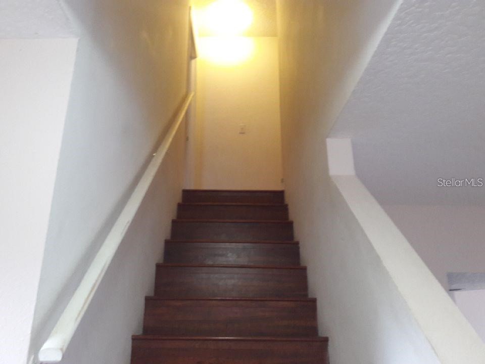 916 Washington Palm Loop Davenport FL 33897 O6335397 image12