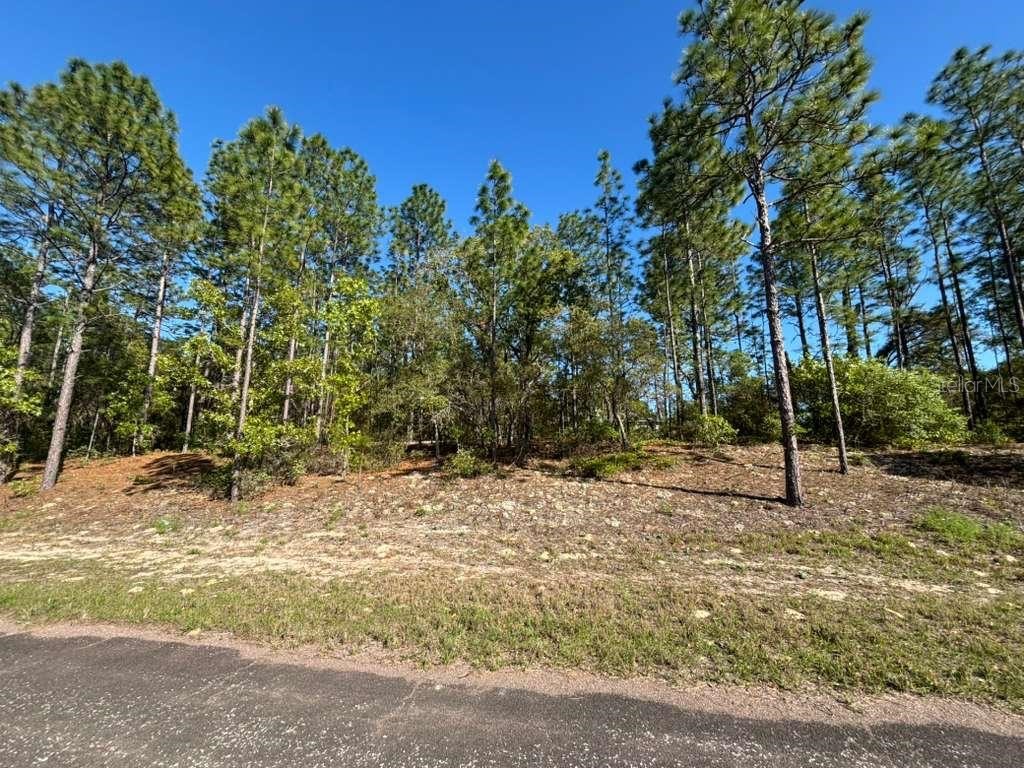 9161 N Marcus Way Citrus Springs FL 34433 G5111018 image1
