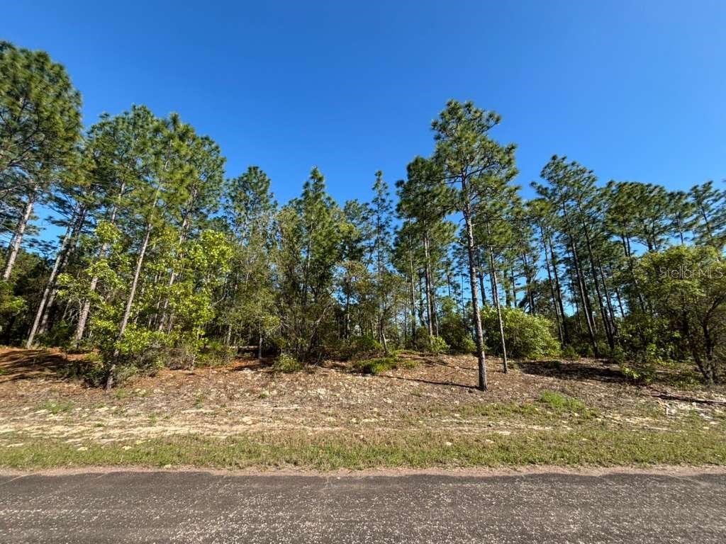 9161 N Marcus Way Citrus Springs FL 34433 G5111018 image4