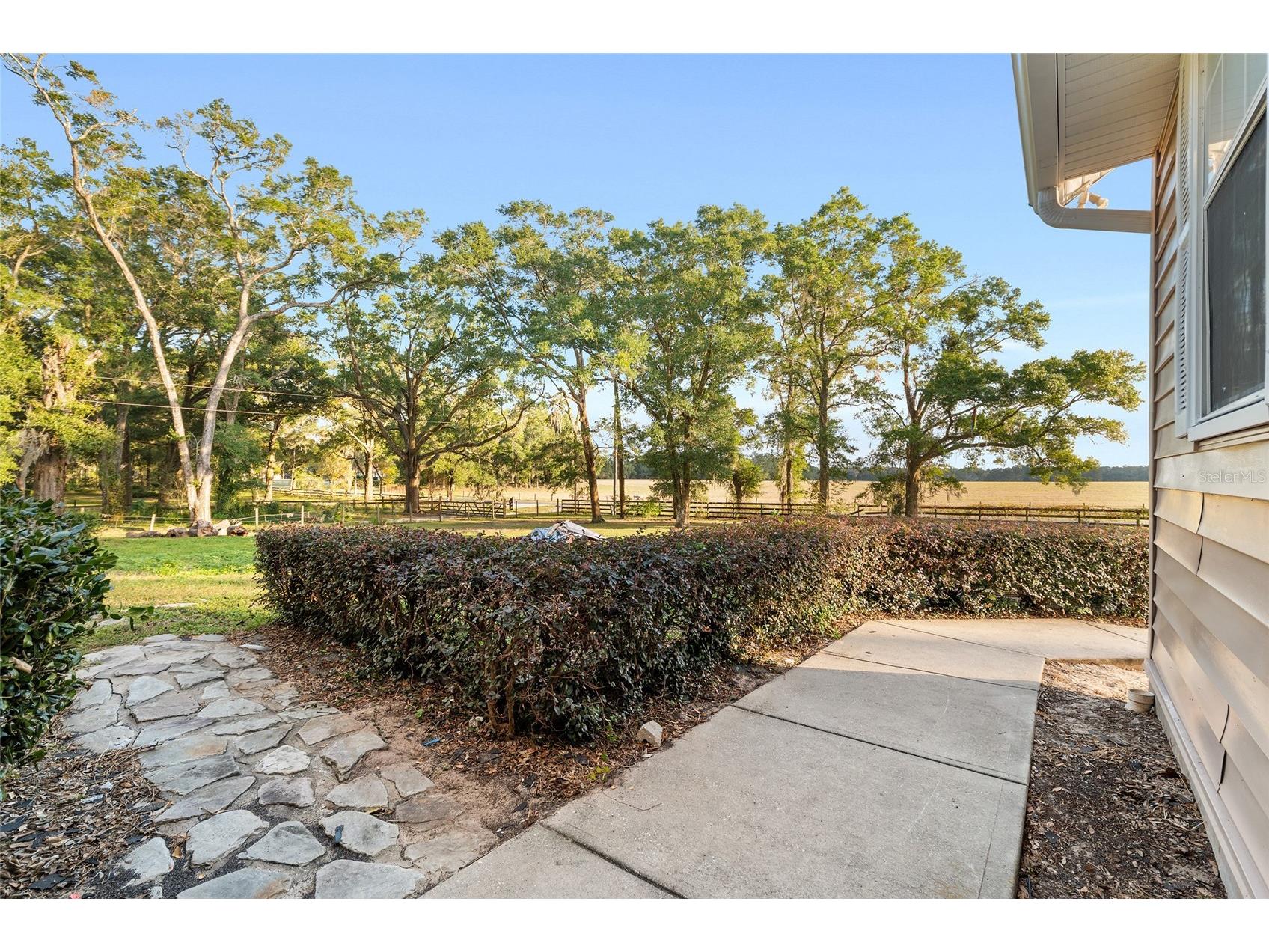 9161 SW 34th Place Ocala FL 34481 TB8470886 image7