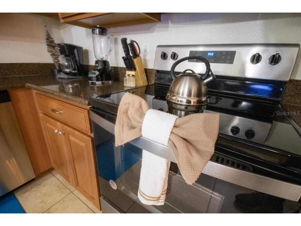 9162 Wedge Drive Davenport FL 33896 O6365610 image11