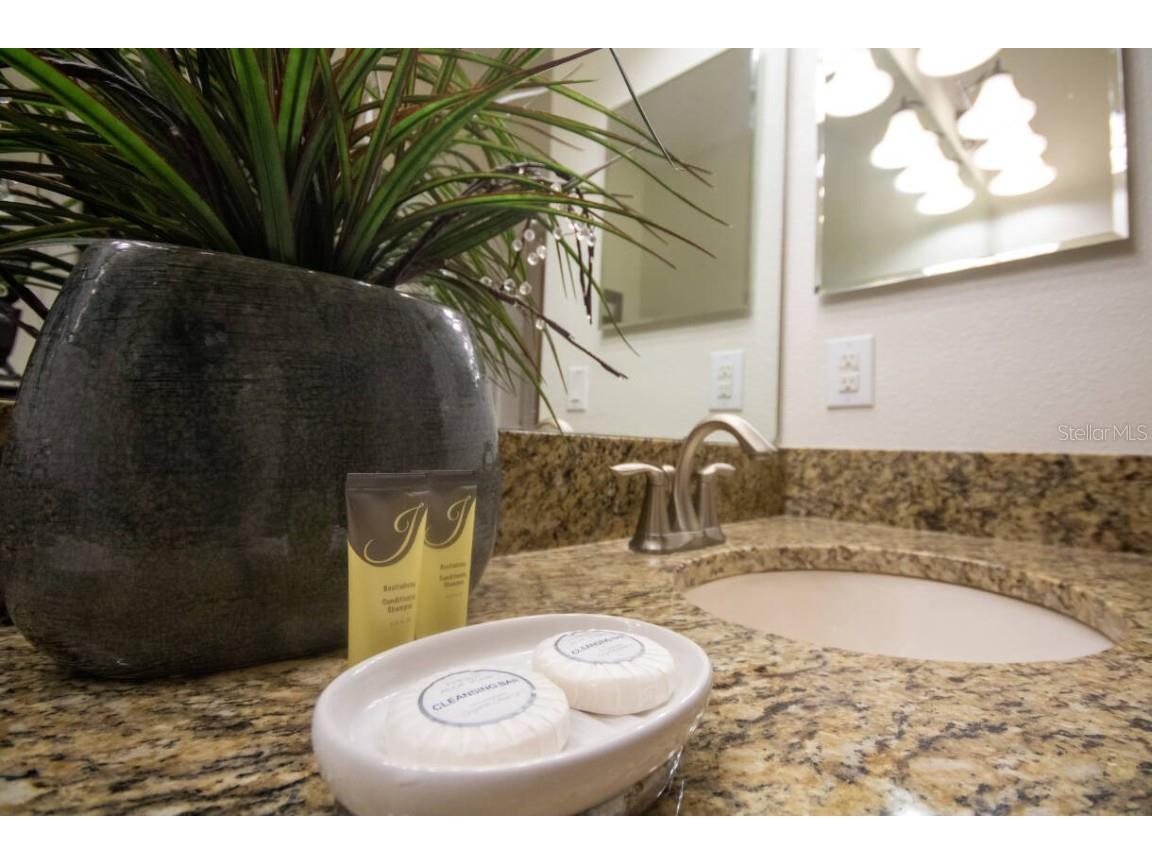 9162 Wedge Drive Davenport FL 33896 O6365610 image19