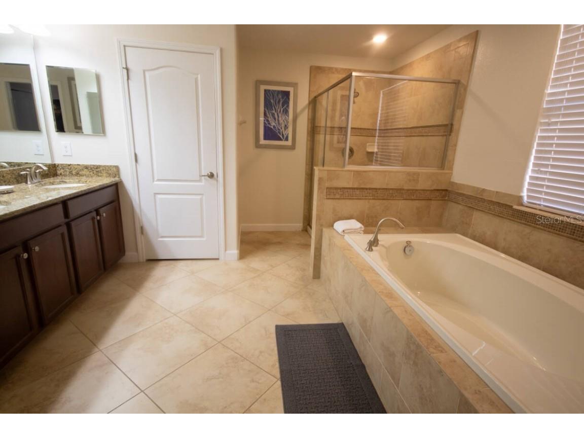 9162 Wedge Drive Davenport FL 33896 O6365610 image28