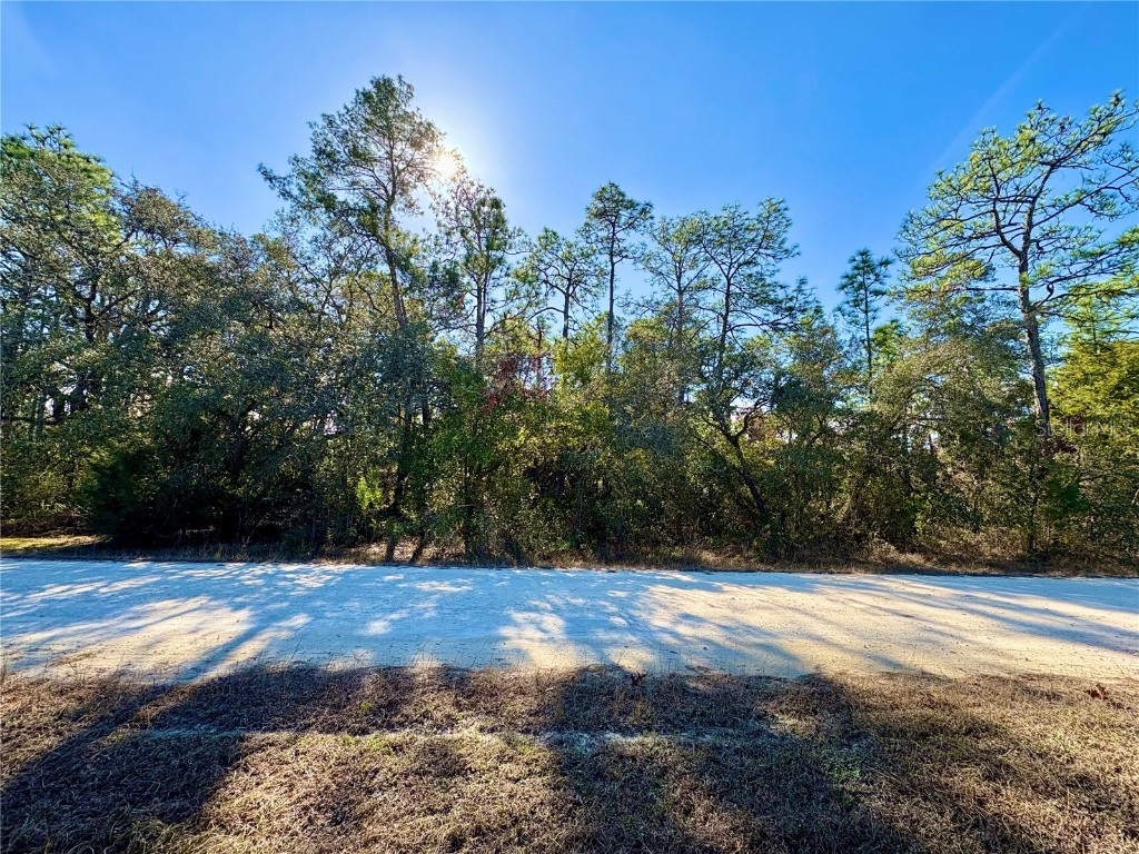 9164 Birmingham Avenue Weeki Wachee FL 34613 W7881912 image1