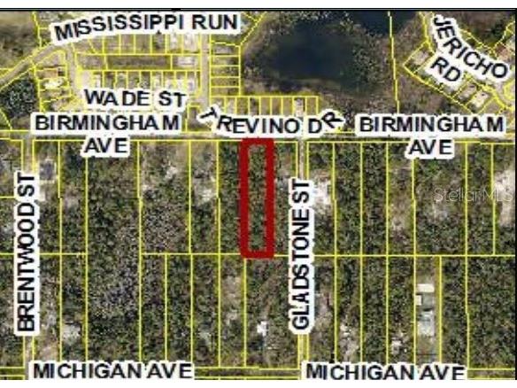 9164 Birmingham Avenue Weeki Wachee FL 34613 W7881912 image3