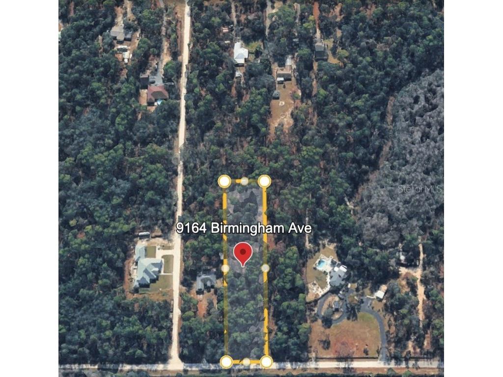 9164 Birmingham Avenue Weeki Wachee FL 34613 W7881912 image4