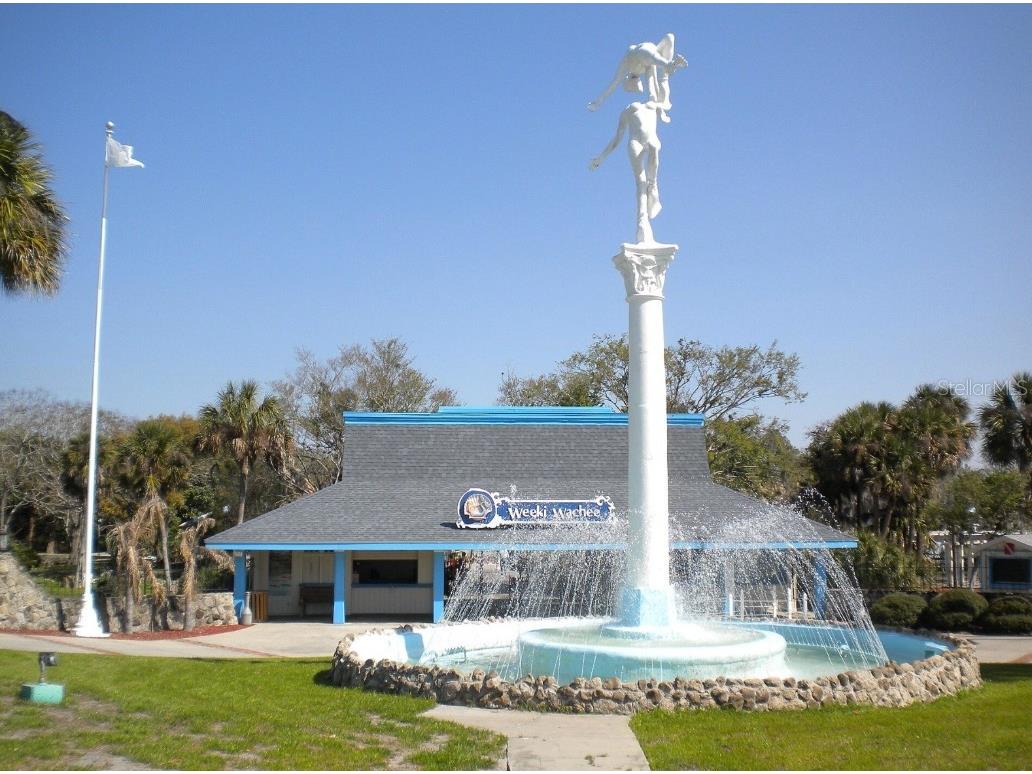 9164 Birmingham Avenue Weeki Wachee FL 34613 W7881912 image6