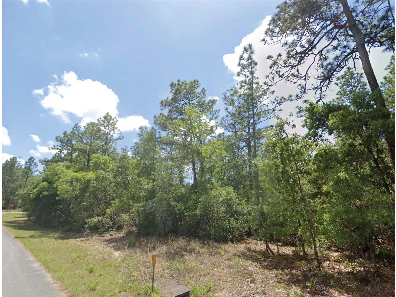 9164 N Gilbert Terrace Dunnellon FL 34433 O6400756 image1