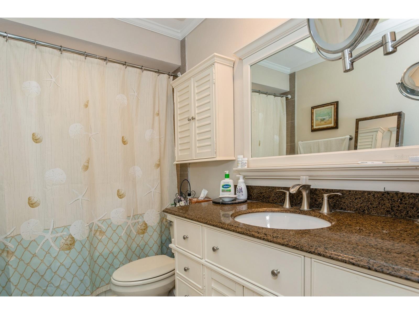 9166 Blind Pass Road Saint Pete Beach FL 33706 U8241634 image19