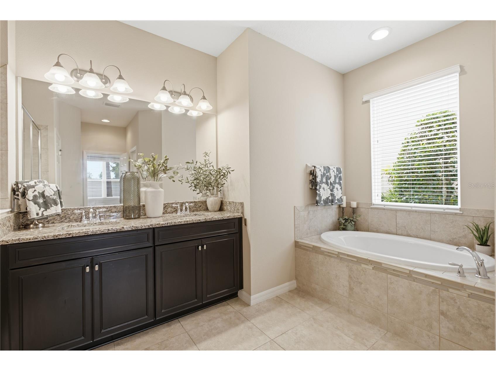 9167 Bella Vita Circle Land O Lakes FL 34637 TB8515101 image27