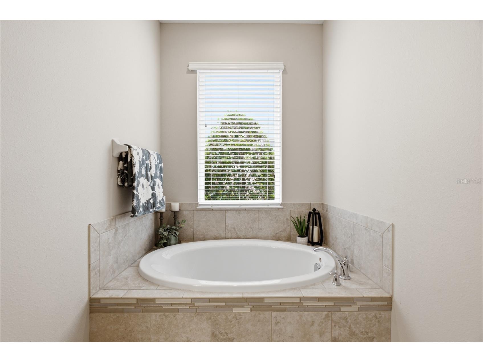 9167 Bella Vita Circle Land O Lakes FL 34637 TB8515101 image29