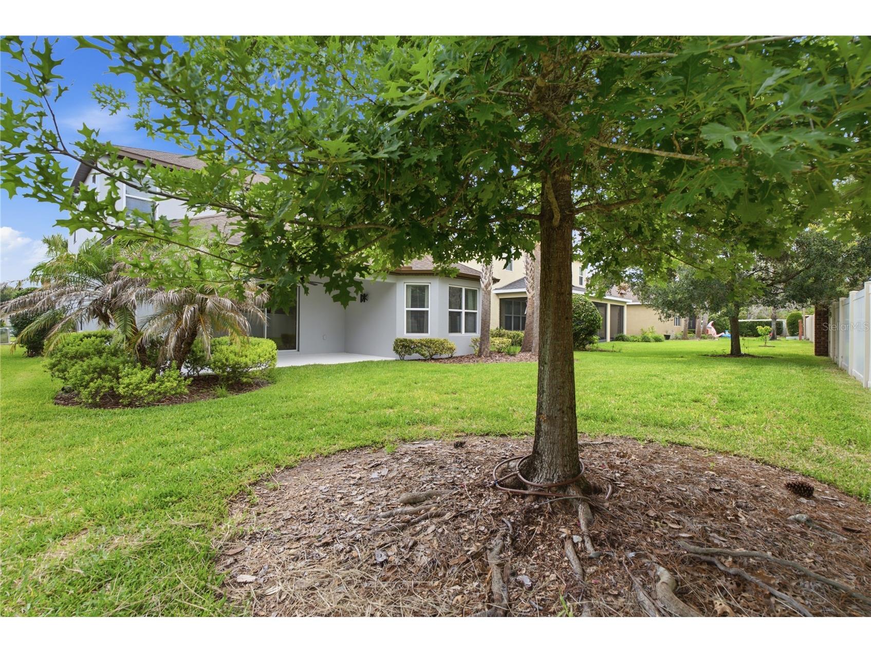 9167 Bella Vita Circle Land O Lakes FL 34637 TB8515101 image51
