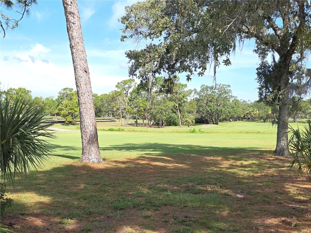 9168 Southern Comfort Court Weeki Wachee FL 34613 W7876865 image35