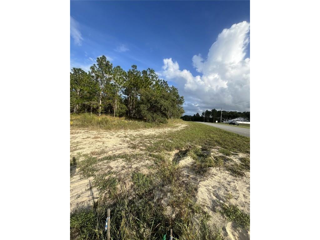 9169 N Deltona Boulevard Citrus Springs FL 34434 GC534591 image1