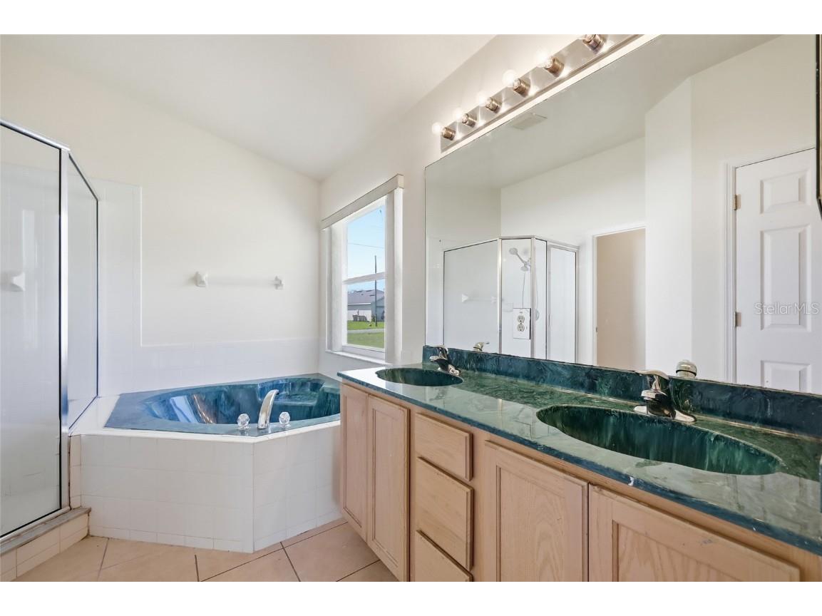 917 Alsace Drive Kissimmee FL 34759 O6353776 image22