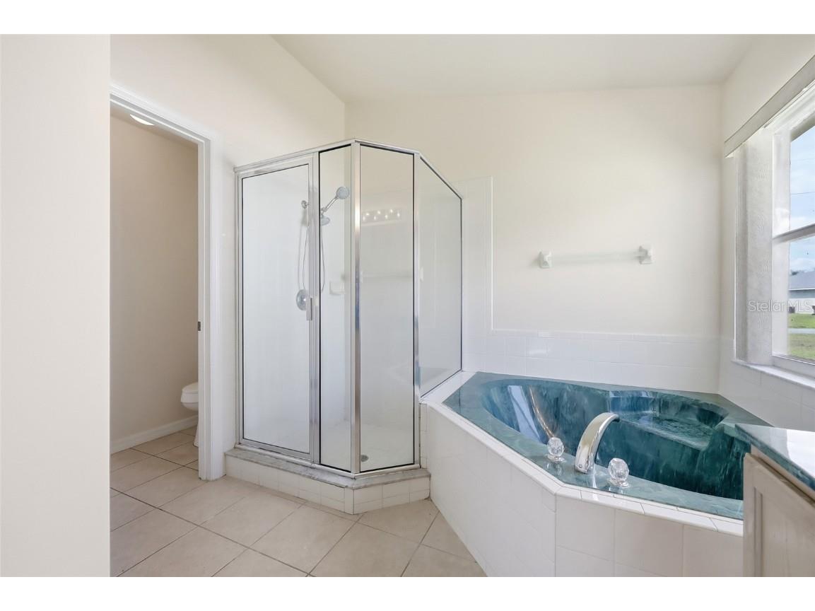 917 Alsace Drive Kissimmee FL 34759 O6353776 image23