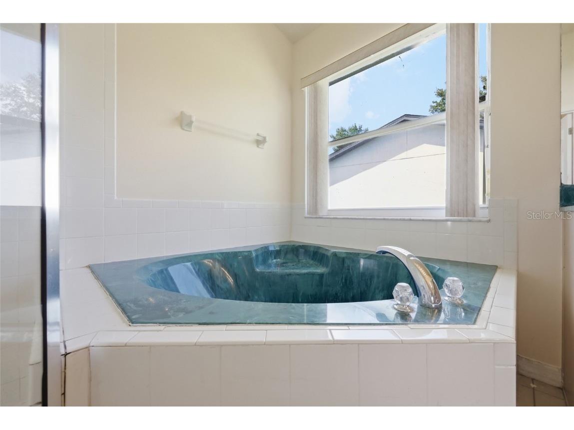 917 Alsace Drive Kissimmee FL 34759 O6353776 image24