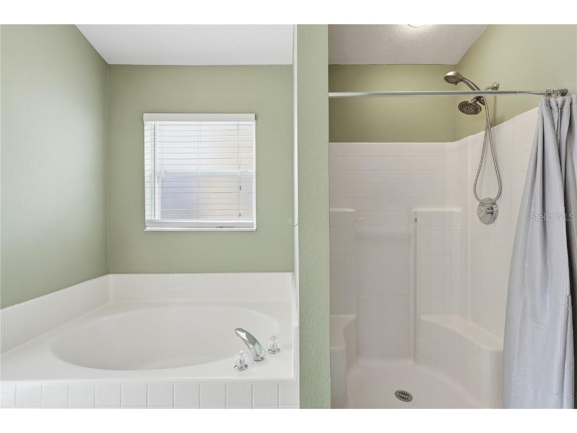 917 Bloomingdale Drive Davenport FL 33897 O6356039 image24