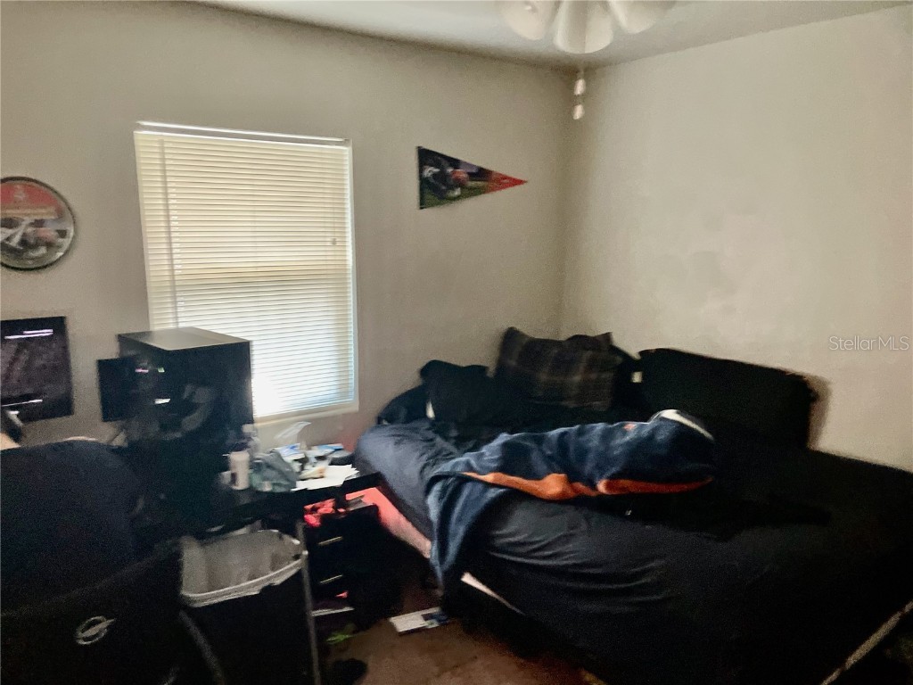 917 Bonnie Drive Lakeland FL 33803 L4957014 image10