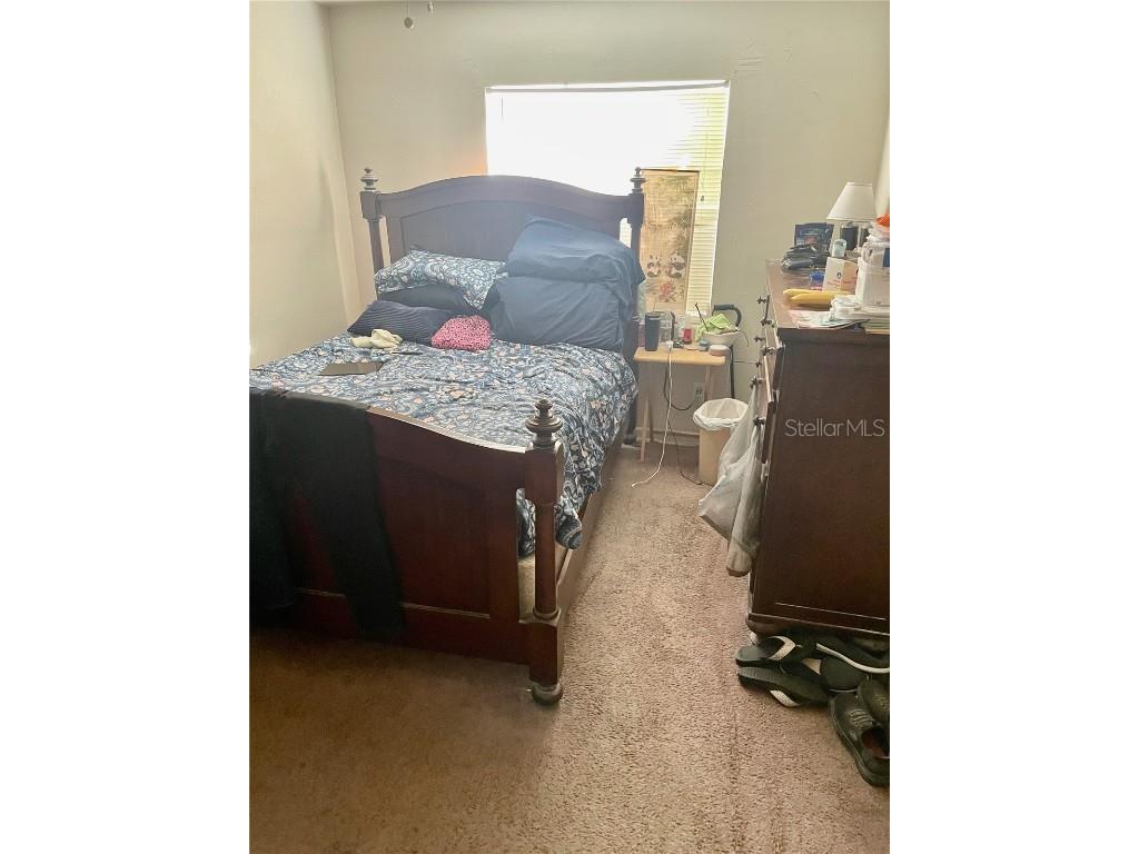 917 Bonnie Drive Lakeland FL 33803 L4957014 image7