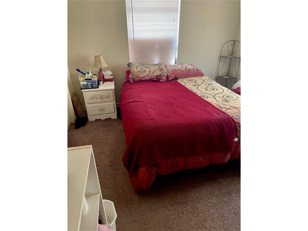 917 Bonnie Drive Lakeland FL 33803 L4957014 image8