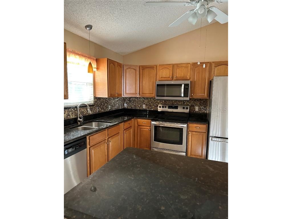 917 Camino Del Rey Drive Lady Lake FL 32159 G5101910 image15