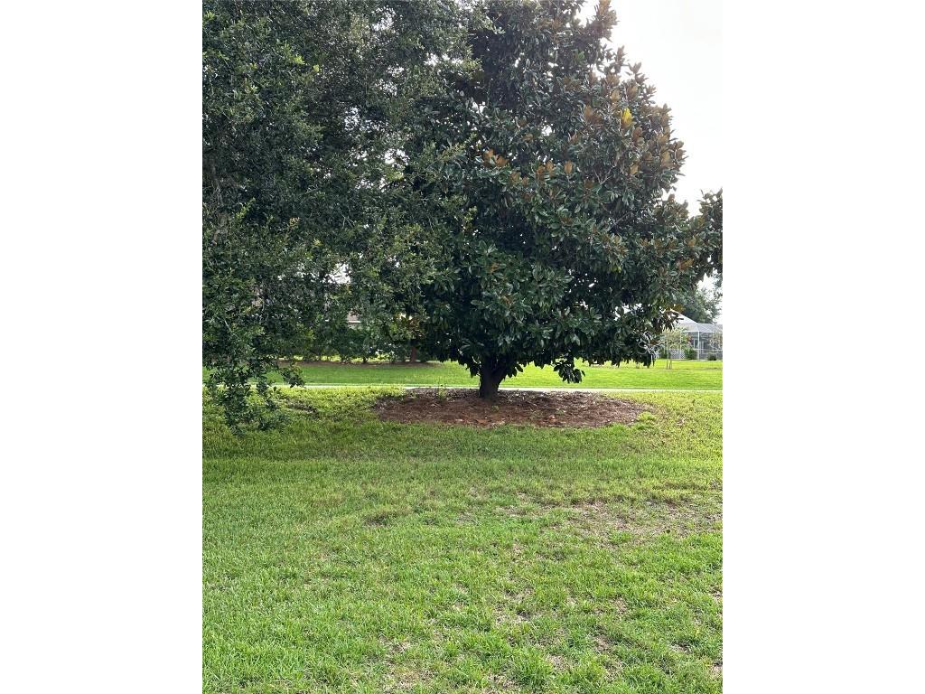 917 Camino Del Rey Drive Lady Lake FL 32159 G5101910 image3