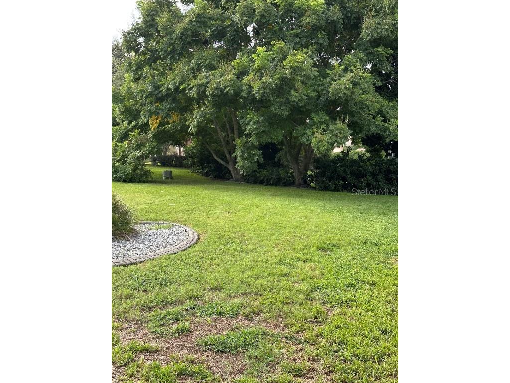 917 Camino Del Rey Drive Lady Lake FL 32159 G5101910 image4